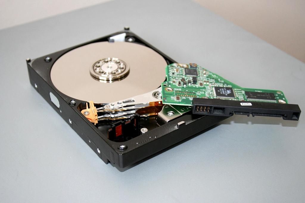 Dr. Sarah Mitchell, Lead Backup Architect